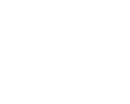 Architecture for Growth